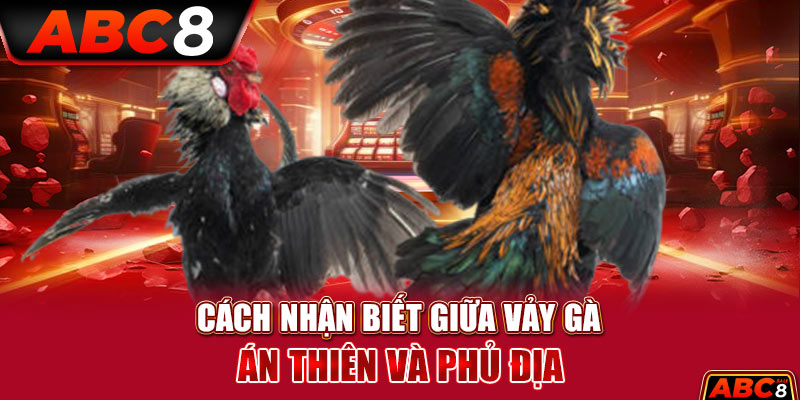 Cách nhận biết giữa vảy gà Án Thiên và Phủ Địa